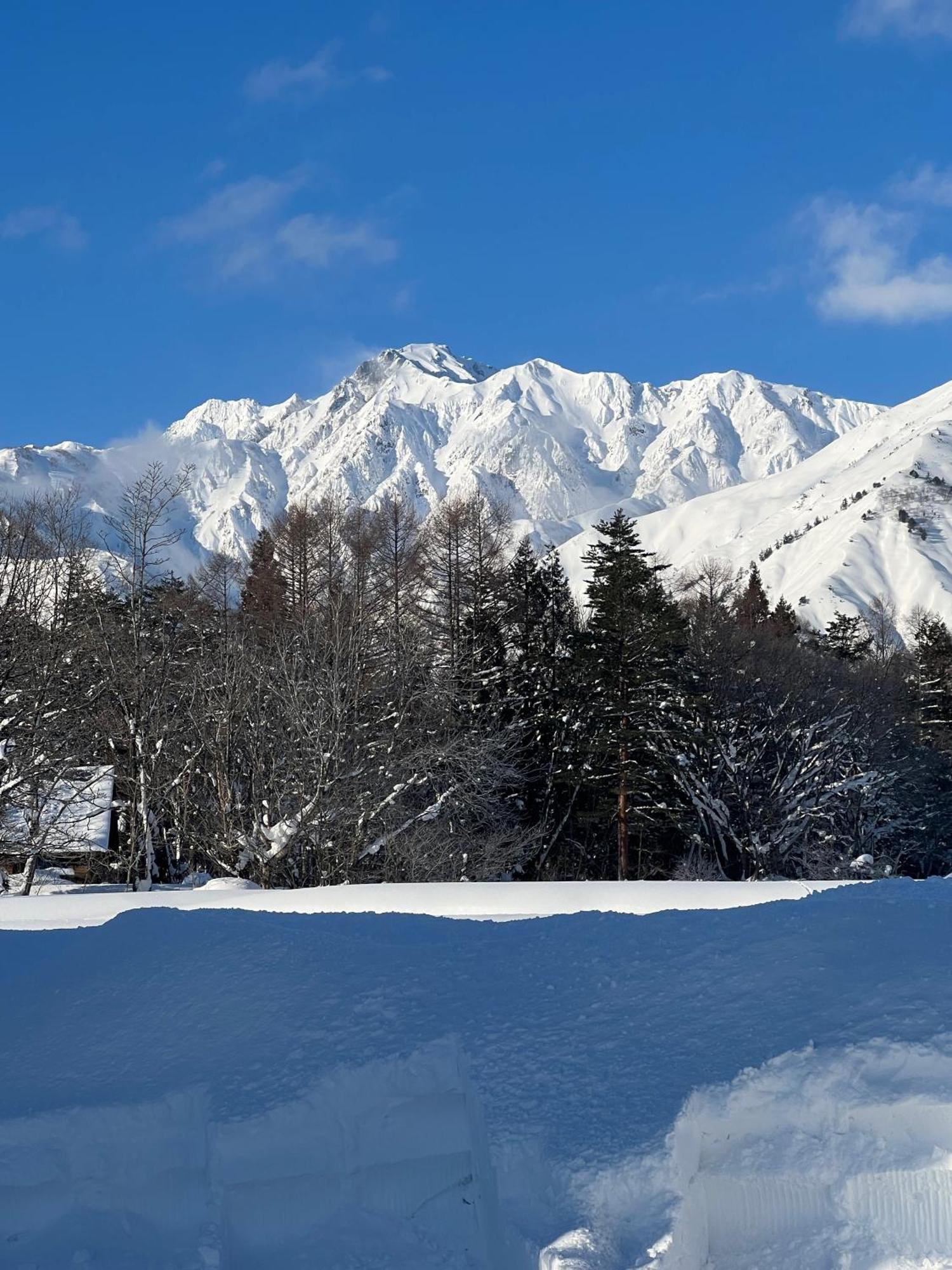 Heidihof Hotel Hakuba Extérieur photo