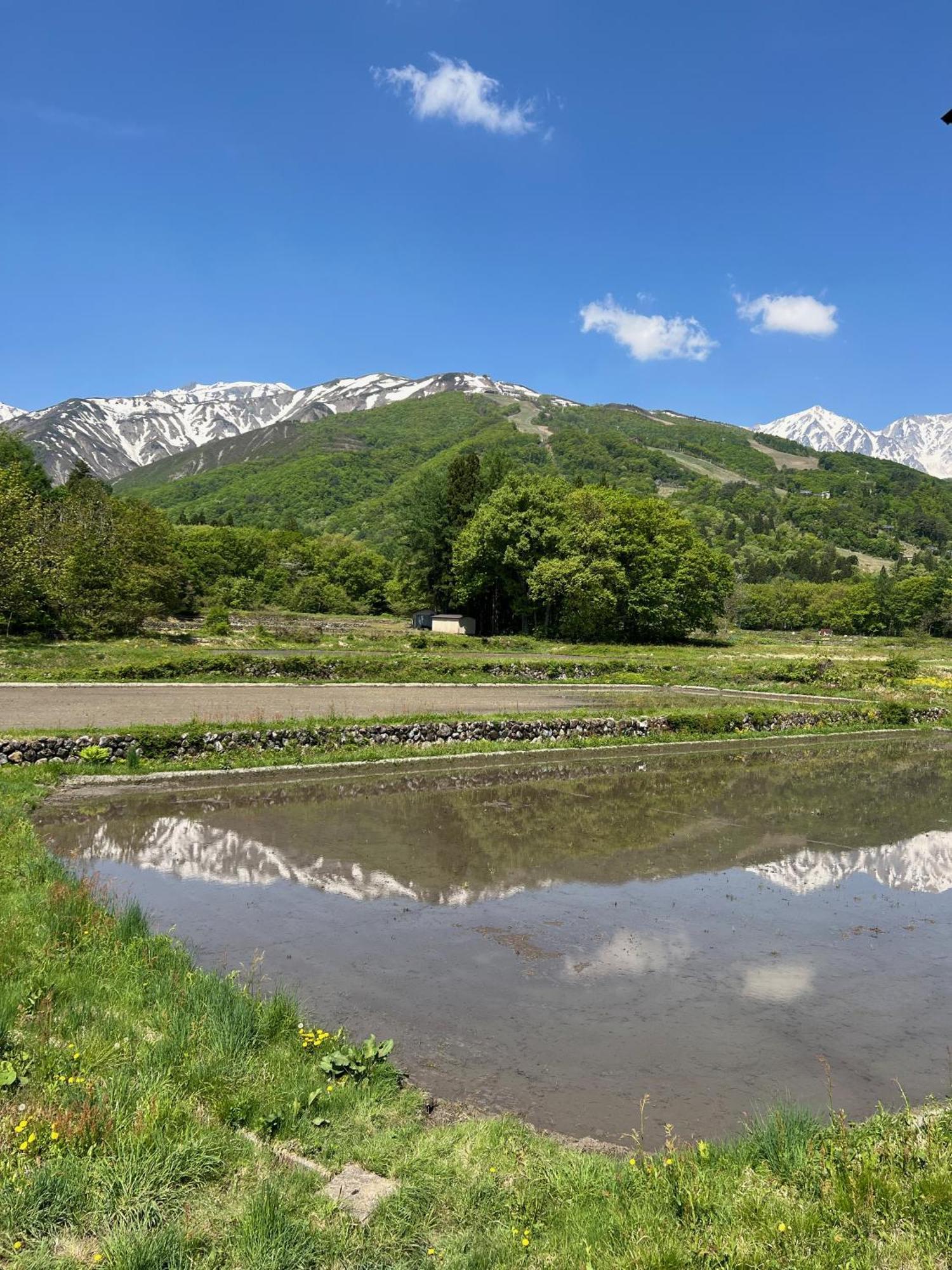 Heidihof Hotel Hakuba Extérieur photo