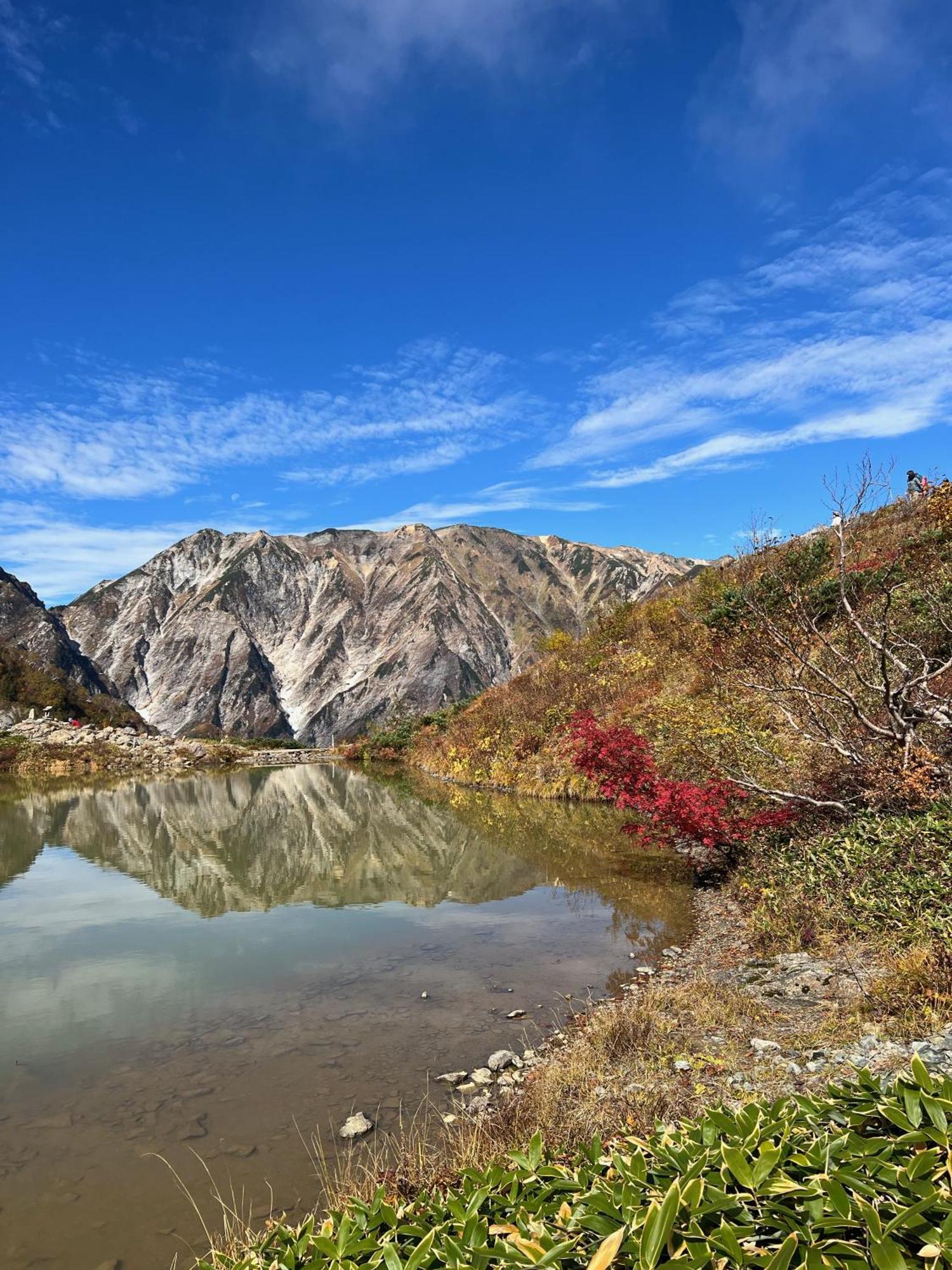 Heidihof Hotel Hakuba Extérieur photo